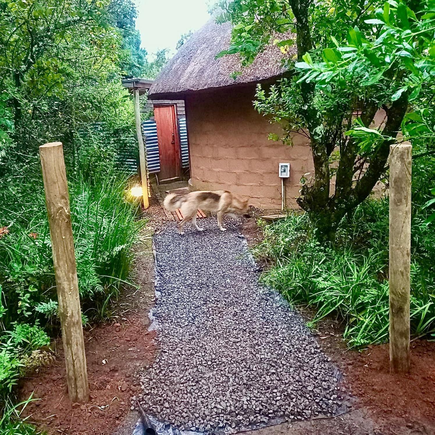 Drakensberg Inkosana Lodge Champagne Valley Kültér fotó