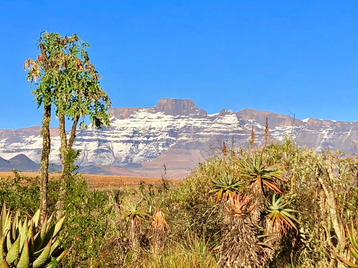 Drakensberg Inkosana Lodge Champagne Valley Kültér fotó